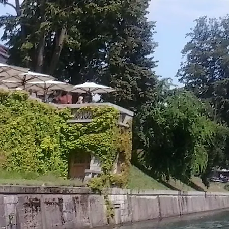 Tanja Ljubljana